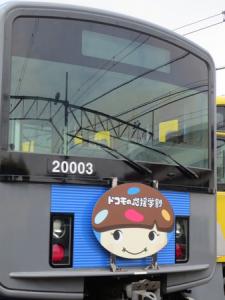 AKBダケ