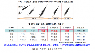 まつ毛