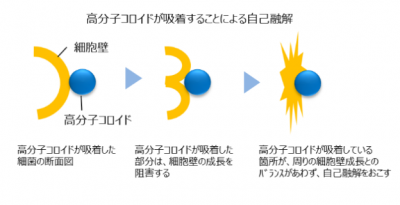 抗菌・除菌高分子コロイド