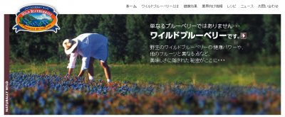 ワイルドブルーベリー
