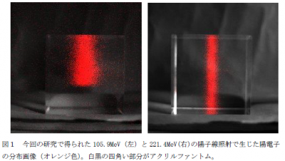 陽子線分布画像化