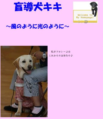 盲導犬