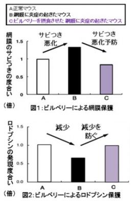 わかさ生活