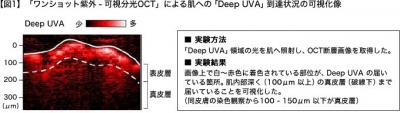 「Deep UVA」領域を可視化