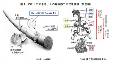 ＰＭ2.5