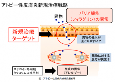 アトピー性皮膚炎