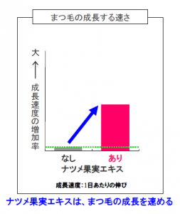 まつ毛
