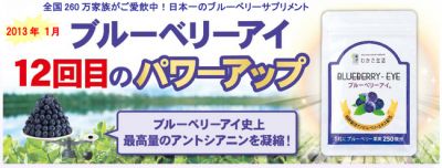 ブルーベリーアイ