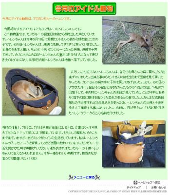 目のニュース